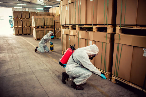 Best Cockroach Control Services  in Swanton, OH