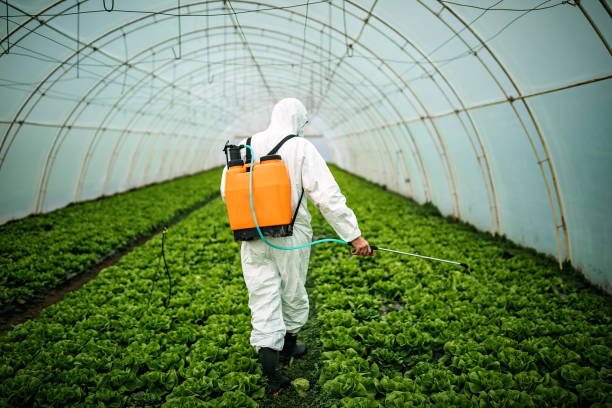 Reliable Swanton, OH Pest Control Solutions