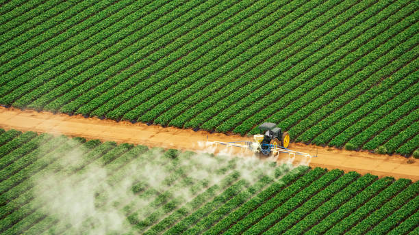 Best Best Pest Control Companies  in Swanton, OH