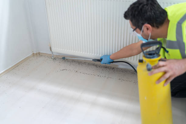 Best Pest Control Cost  in Swanton, OH